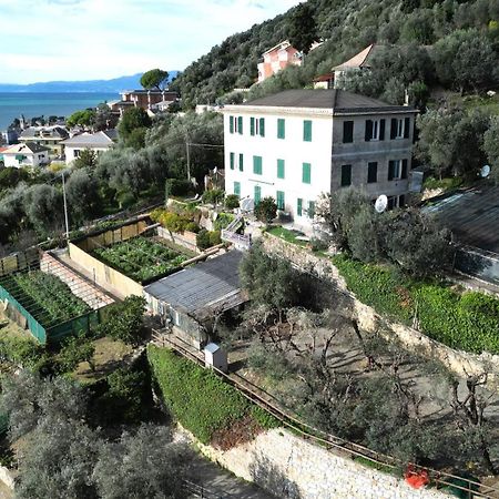 Cav Gli Ulivi Di Bogliasco Exterior foto