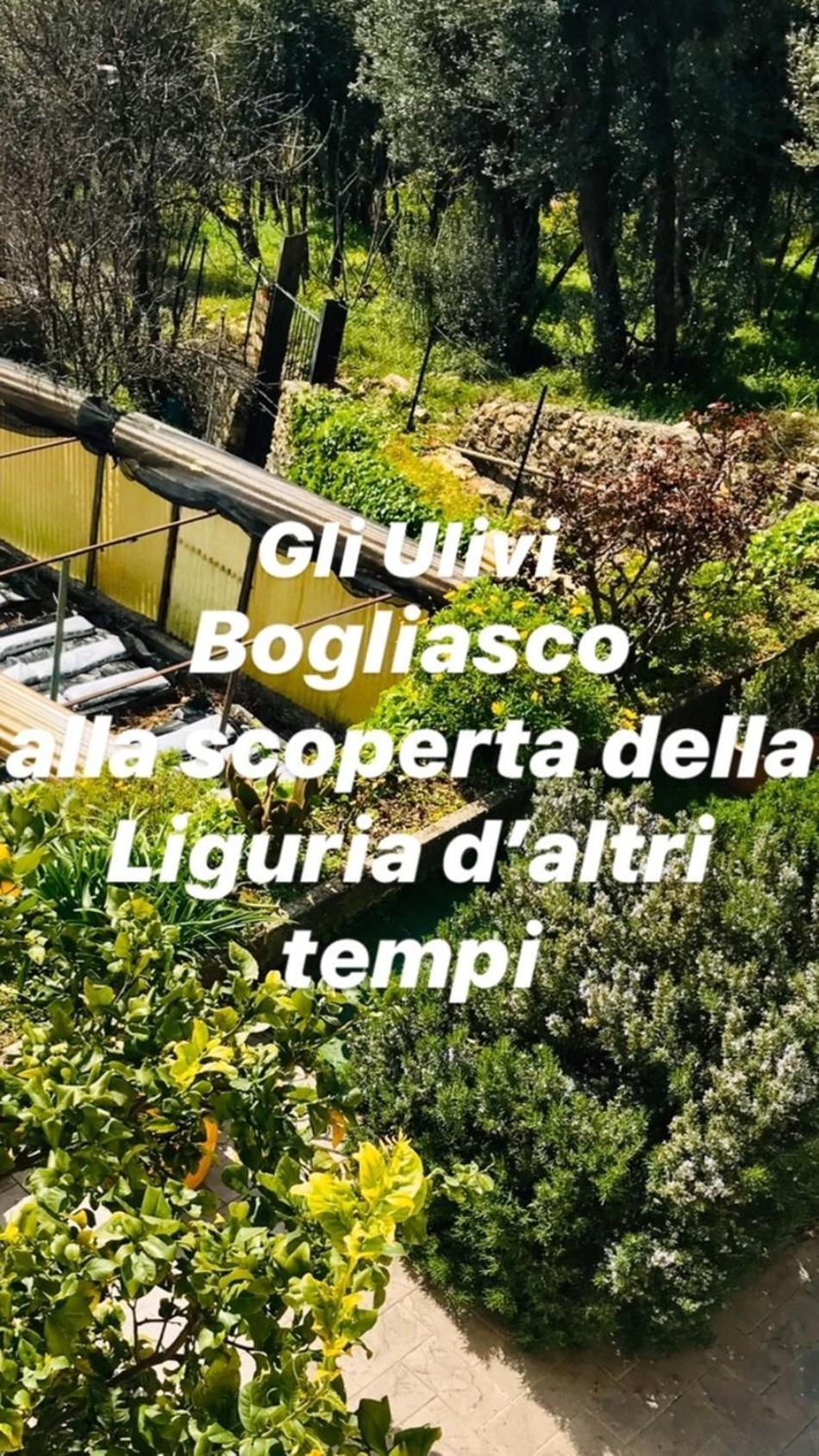 Cav Gli Ulivi Di Bogliasco Exterior foto