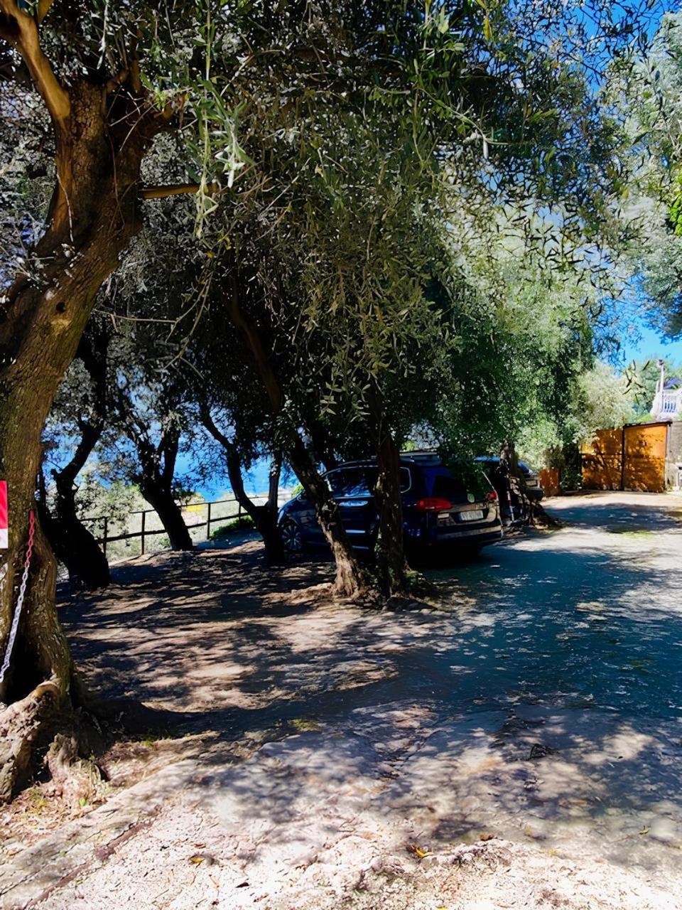 Cav Gli Ulivi Di Bogliasco Exterior foto