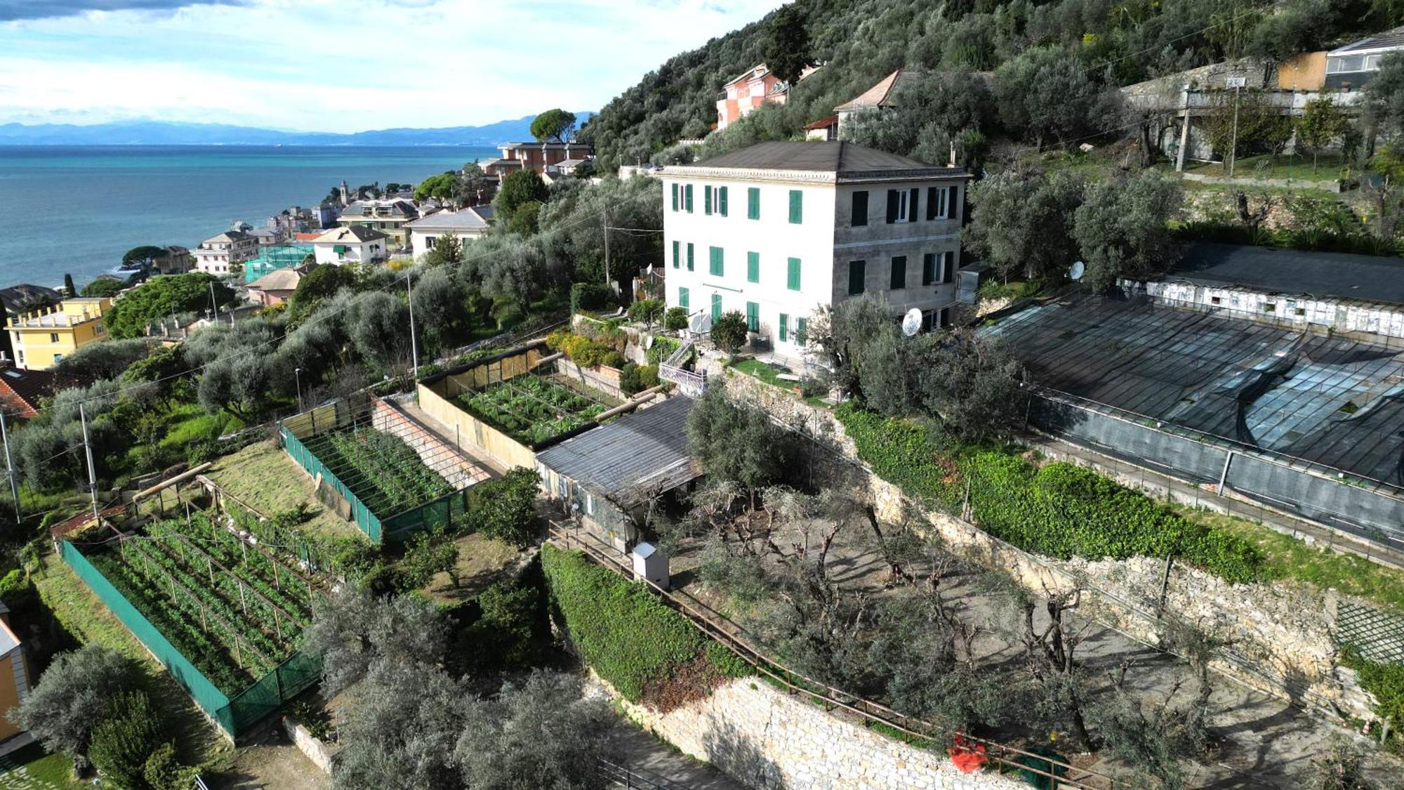 Cav Gli Ulivi Di Bogliasco Exterior foto